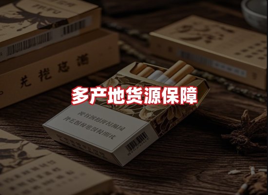 专业团队